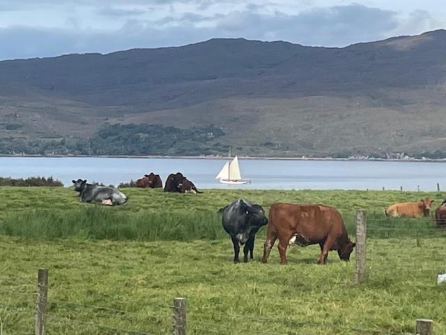 Plockton, Camus Fearn Barn Villa Bagian luar foto